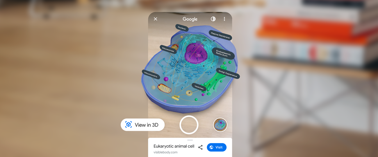 AR 3D Animals - Apps on Google Play