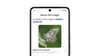 A mock of a phone with an image of a butterfly with metallic wings in a prismatic pattern shown in the “About this image” feature, which indicates via text that the image was made with Google AI.