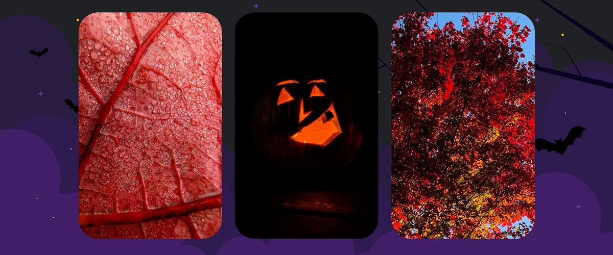 A collage of photos against a Halloween-themed background. Two photos show fall foliage, the photo in the middle shows a Jack-O-Lantern lit up.