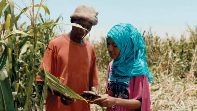 A man and a lady are standing in the fields at a farm. The man is holding up a leaf while the lady has a smartphone in her hands. Both are looking intently at the smartphone.