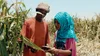 A man and a lady are standing in the fields at a farm. The man is holding up a leaf while the lady has a smartphone in her hands. Both are looking intently at the smartphone.