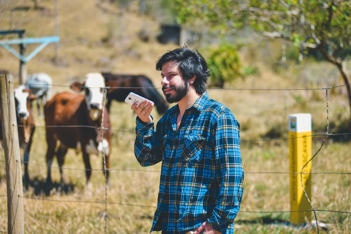 A man wearing a blue shirt in a rural part of Brazil speaks to his phone, with cows in a field in the background