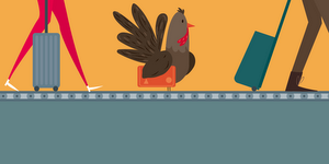 Google Flights holiday travel planning tips