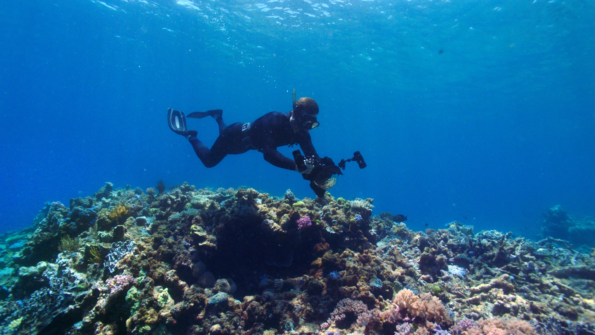 Johnny swims above the coral capturing images on an underwater camera.