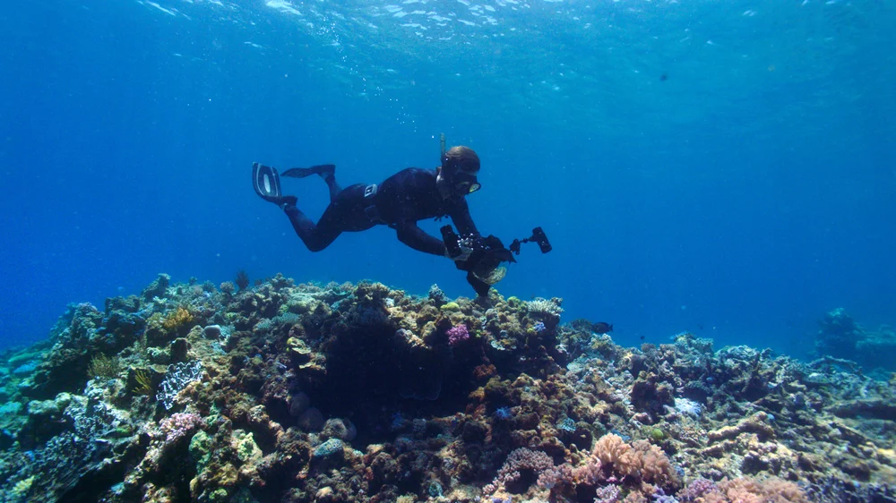 A marine biologist swims over coral formations.