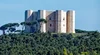 Cielo azzurro su terreno alberato, al centro un edificio a due piani con 4 pilastri angolati.