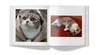 cat photo book