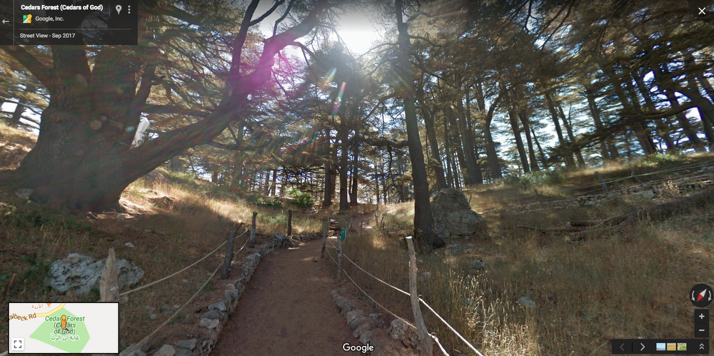 Cedars Forest (Cedars of God).png