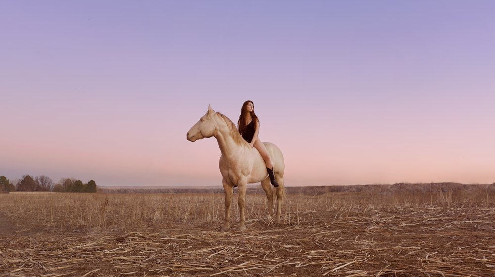 Photograph of a woman sitting on a white horse. There is a pink and purple sunset in the background.