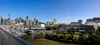 Outside shot of the Google Sydney office buildings surrounded by greenery. The Sydney skyline is in the background against bright blue sky