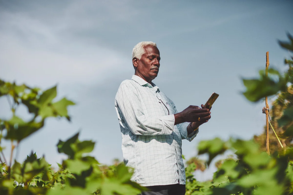 A photo of a farmer using the CottonAce app in his field