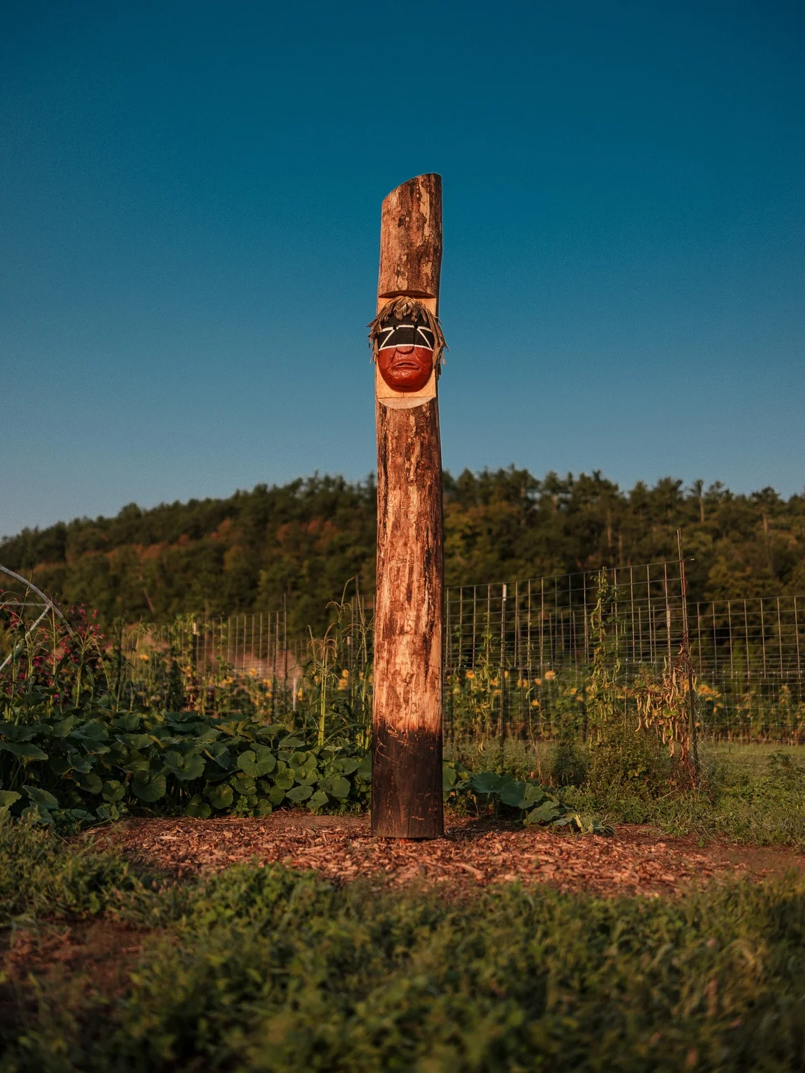 A wooden pole stands in a garden on a sunny day. The pole has a carved frowning face that is painted red and has a back strike covering the eyes with straw as hair. Behind the pole, there is a fence, then a forested mountain further in the background.
