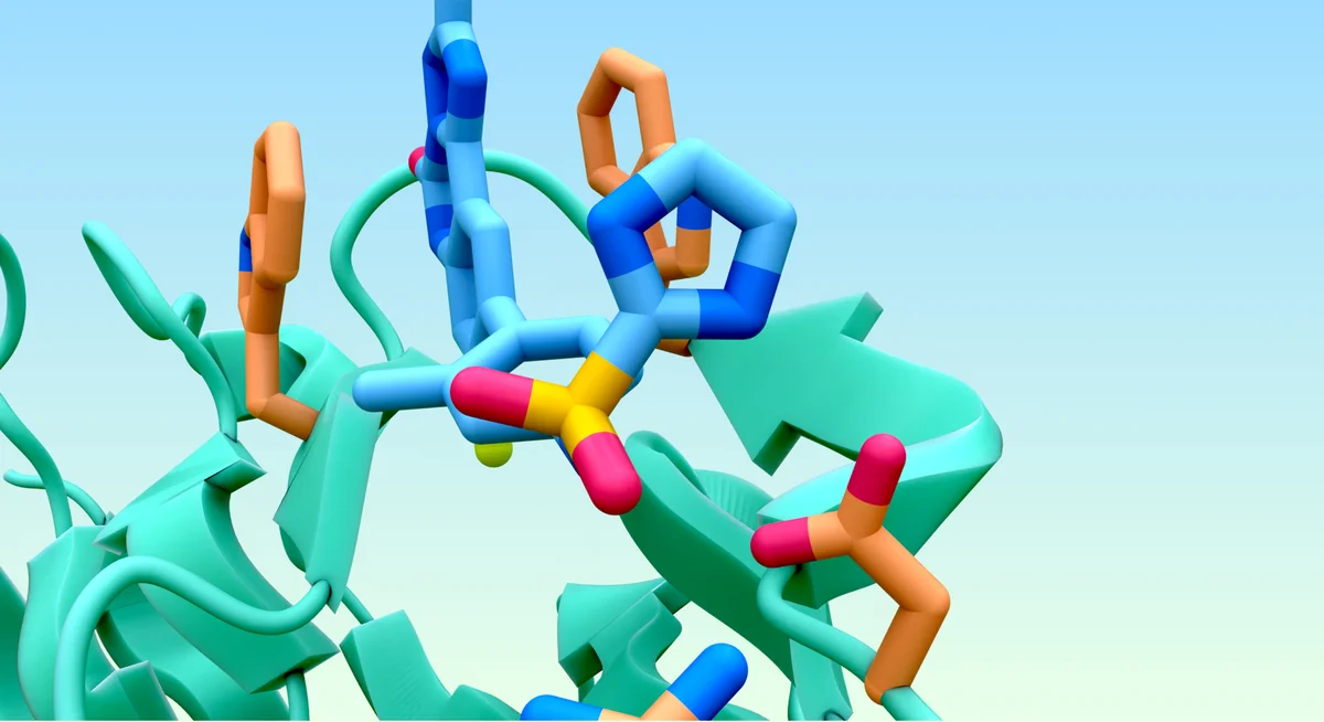 Image of protein folding