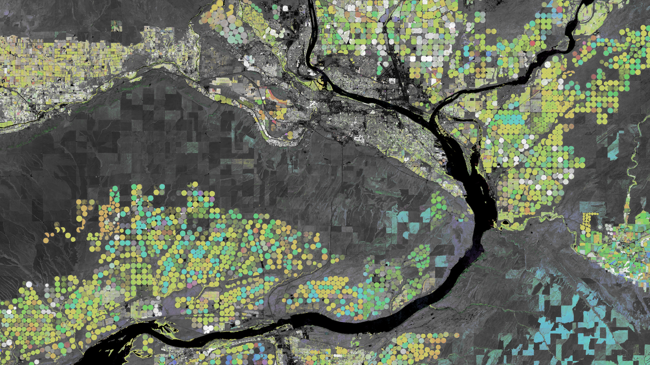 Google's 2022 Earth Day Climate Change Doodle, Explained