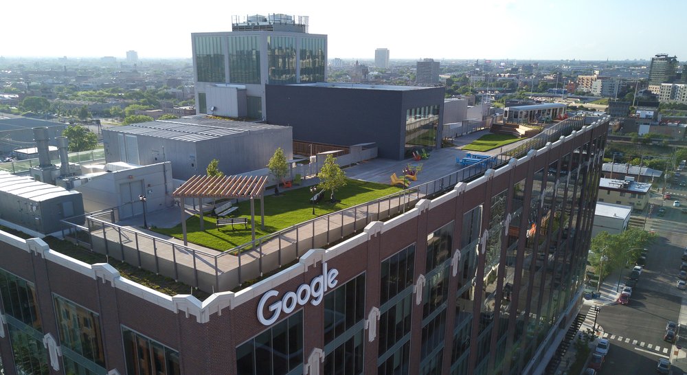 Outside view of the Chicago Google building, featuring a rooftop with a large grass area and green trees.