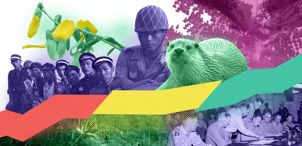 A photo collage of soldiers, an otter, a flower, and artwork about Korea’s demilitarized zone (DMZ)