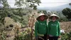 Two women wearing conical hats posing in front of a crop field