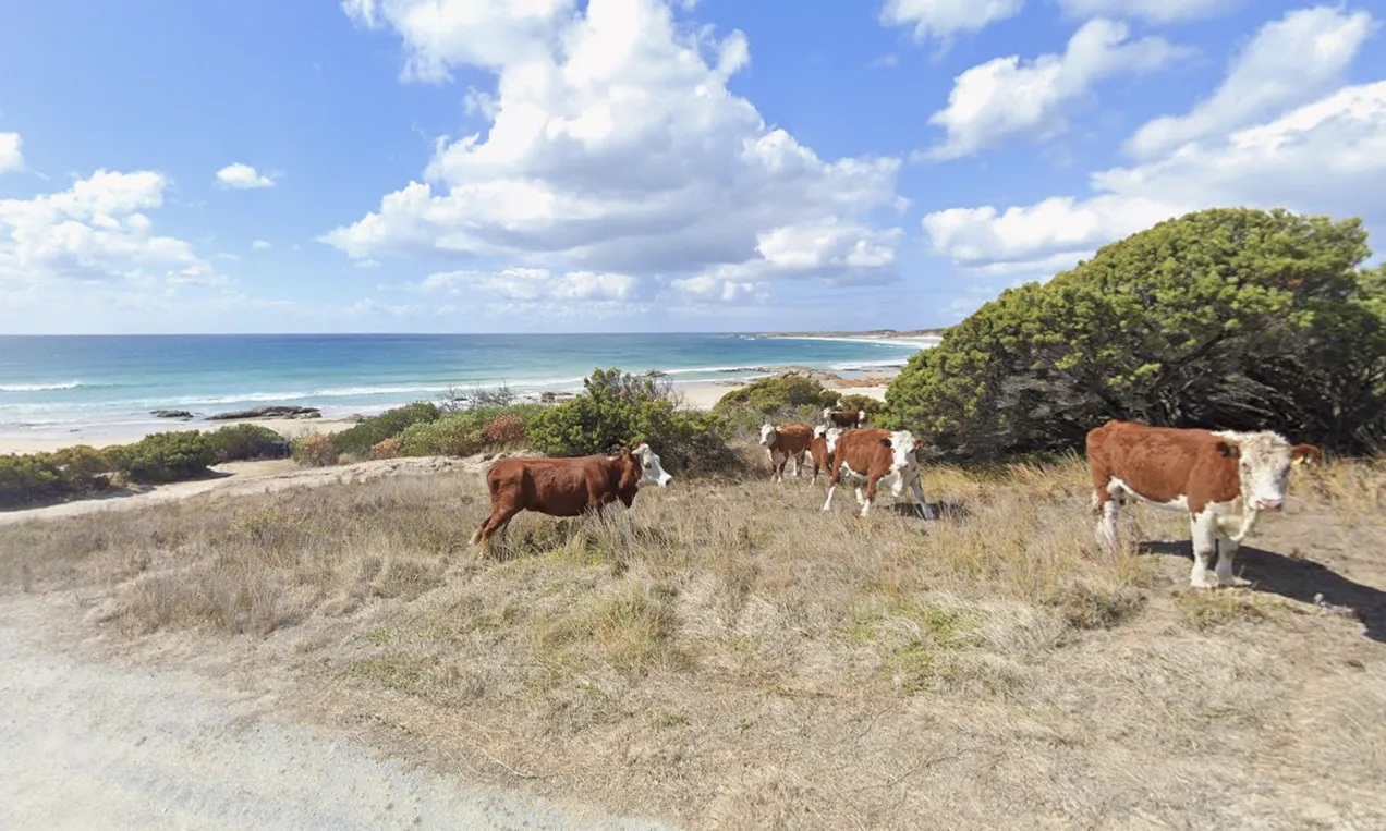 Shown is a Street View image of Disappointment Bay, Tasmania.