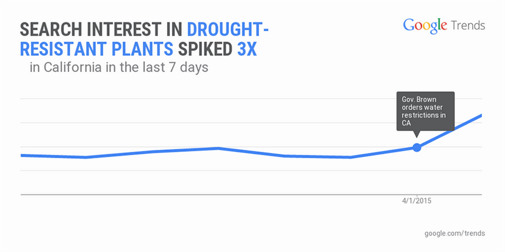 Drought-plants.width-1024.png