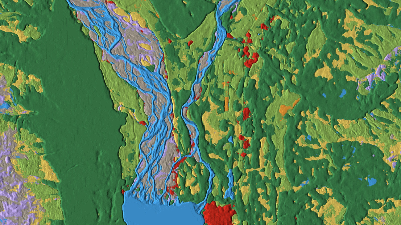 Land cover data just got real-time