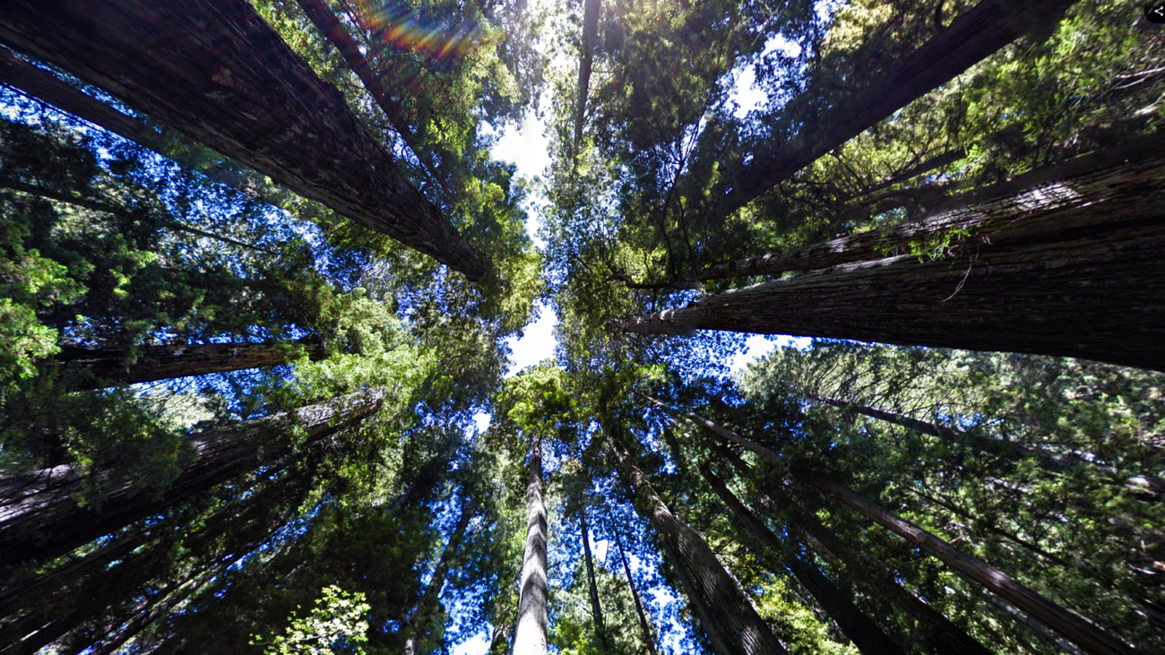 Read our 11th annual Environmental Report