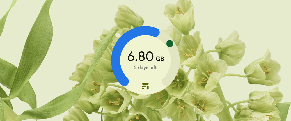 Light green photo of flowers as Android wallpaper. The Google Fi widget in the foreground shows how much data is available.