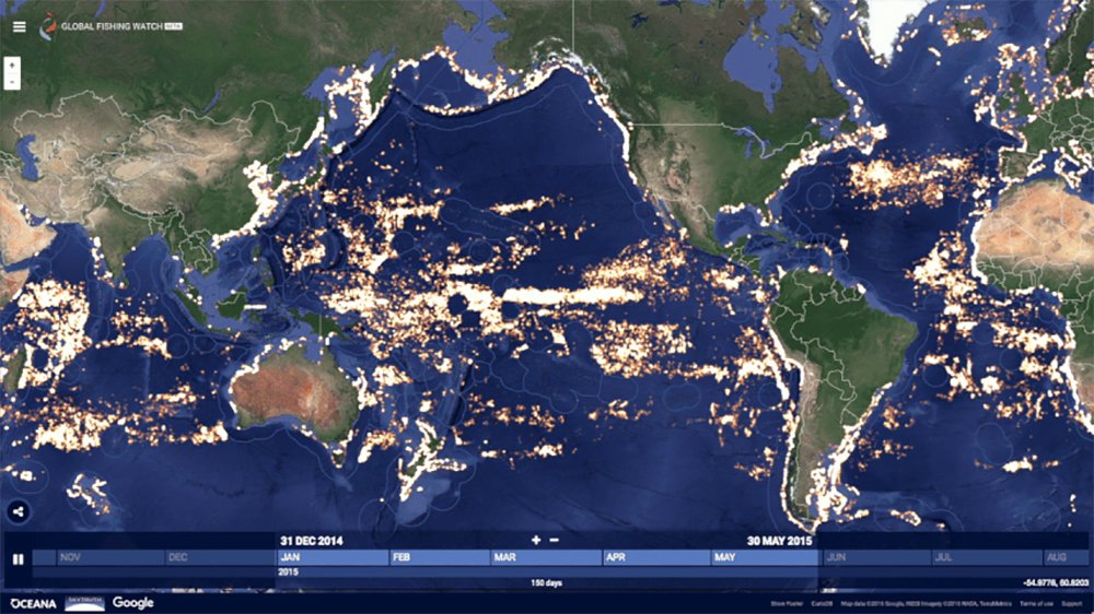 Mapping global fishing activity with machine learning
