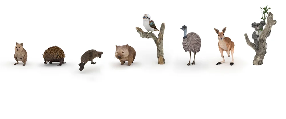 Google AR Animals