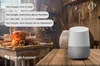 Google Assistant Halloween