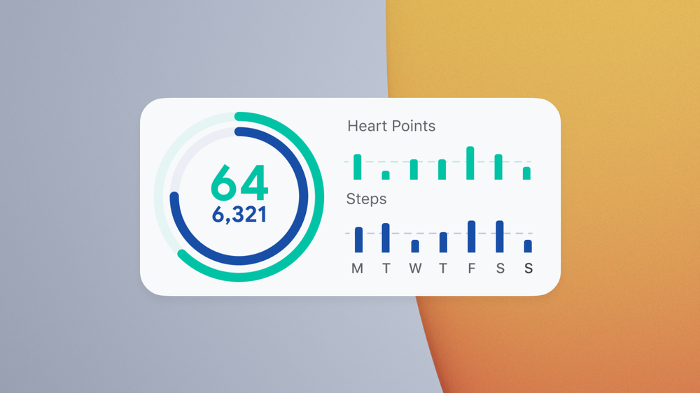 fit bit google fit