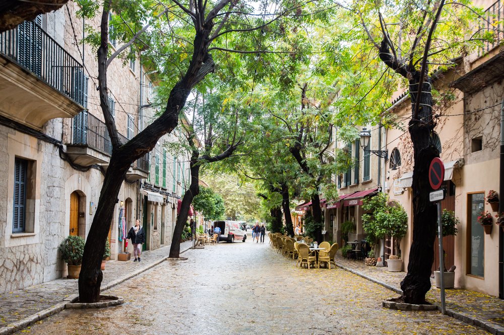 photo of leafy old town street