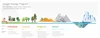 Google Ecology Program Infographic