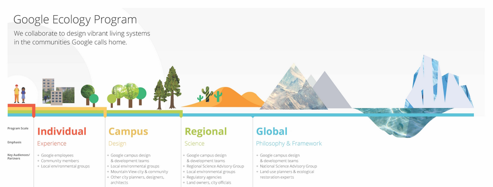 Google Ecology Program Infographic