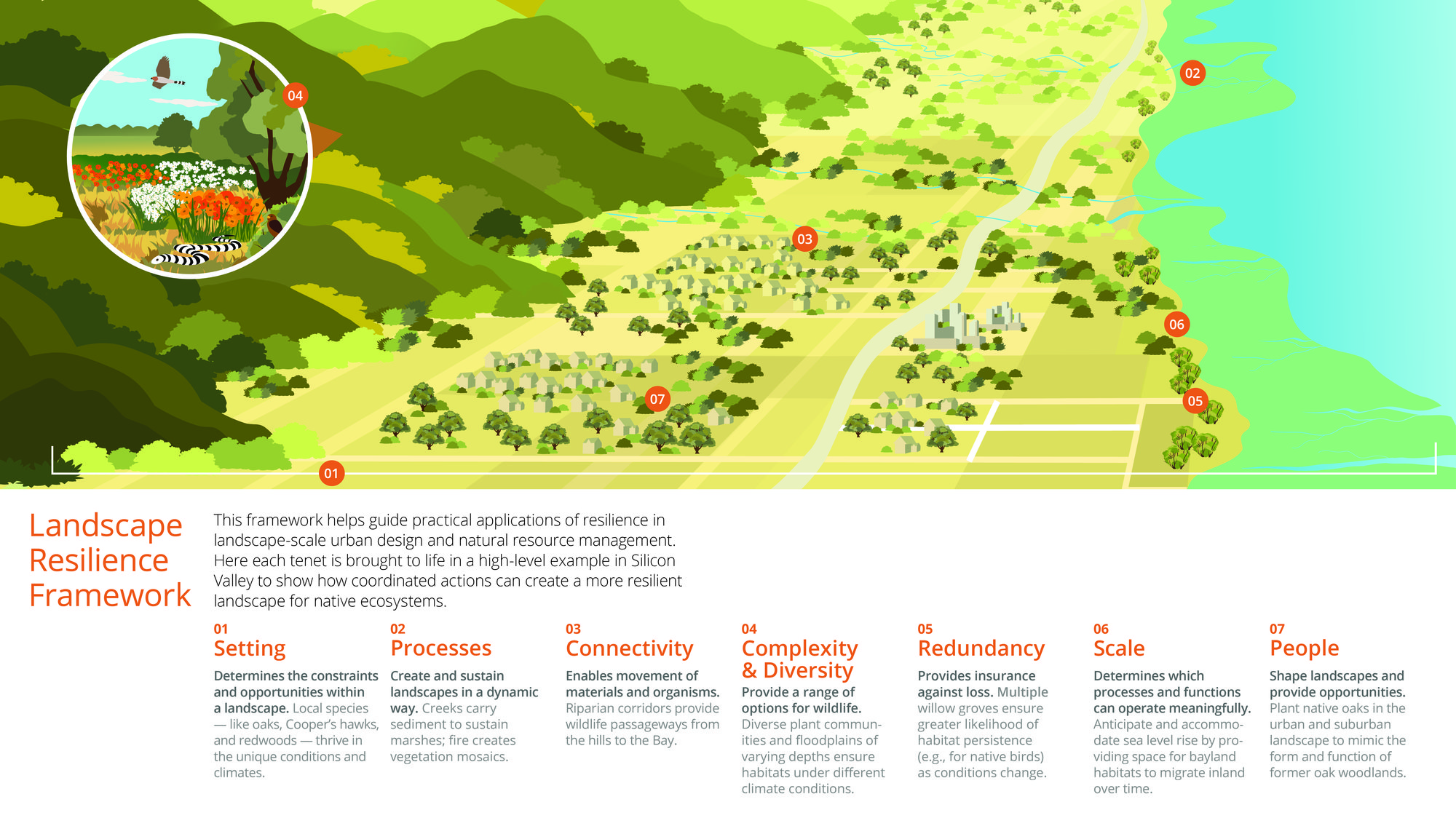 Ecology Tenets Infographic