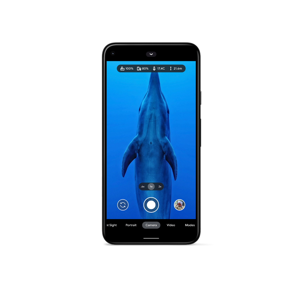 A Pixel phone with a photo of a whale on the screen in the camera app.