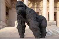 Opera d'arte di un Gorilla