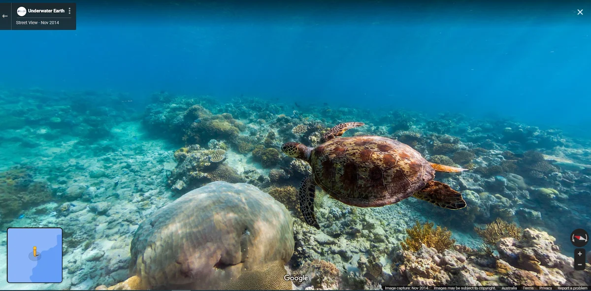 A screenshot of the underwater Street View collect of the Great Barrier Reef, showing a turtle swimming over a coral reef