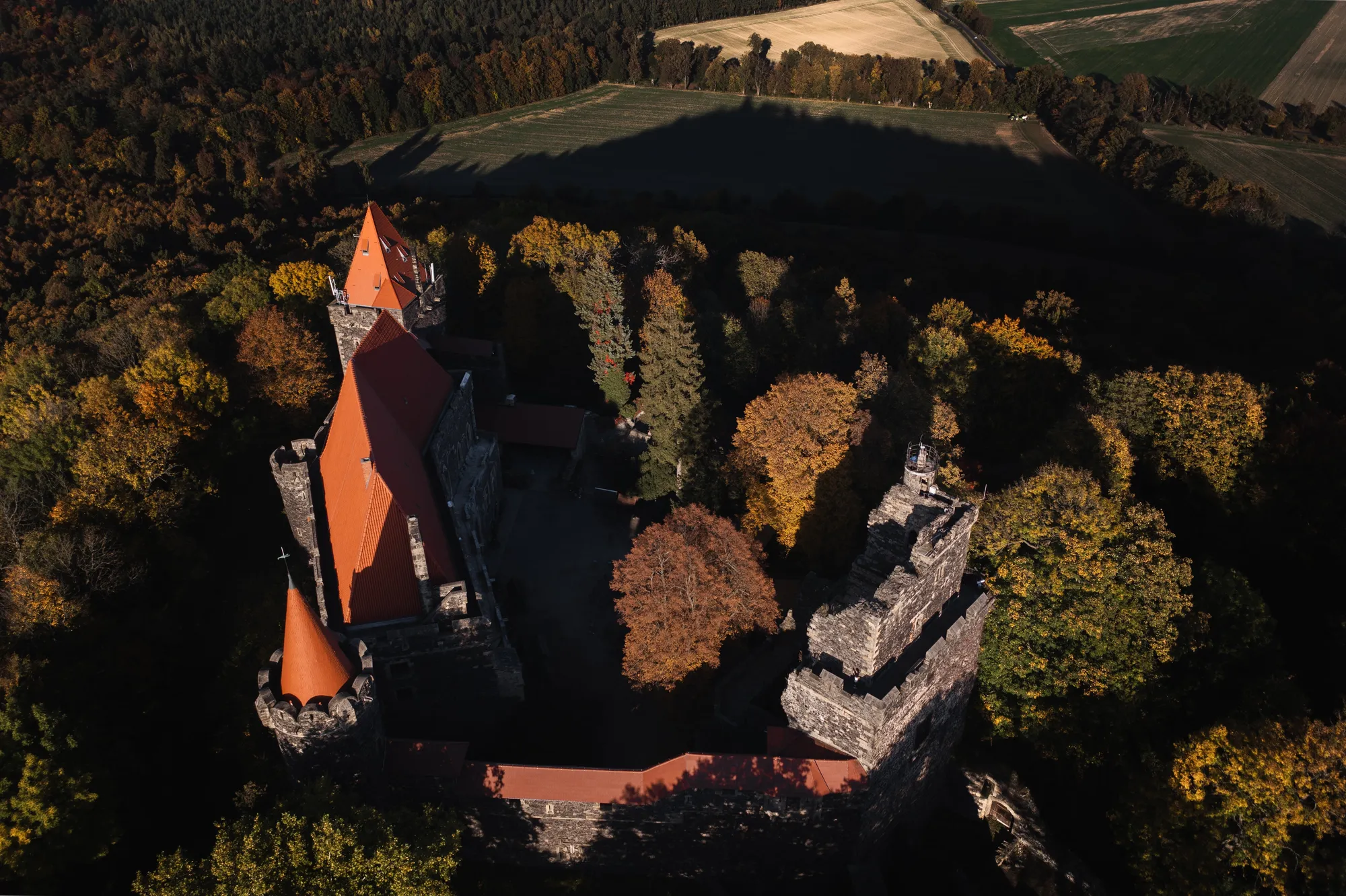 An aerial view of a large, medieval-style castle, surrounded by a forest with autumn-colored foliage. The castle has multiple red roofs. The landscape includes sections of cleared land, hinting at agricultural use.