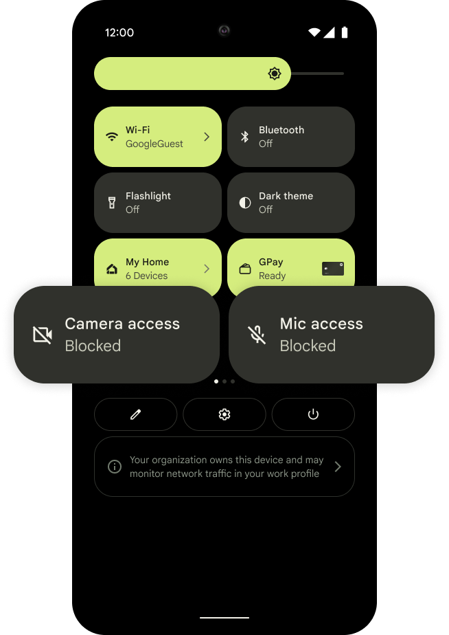 mic and camera access controls