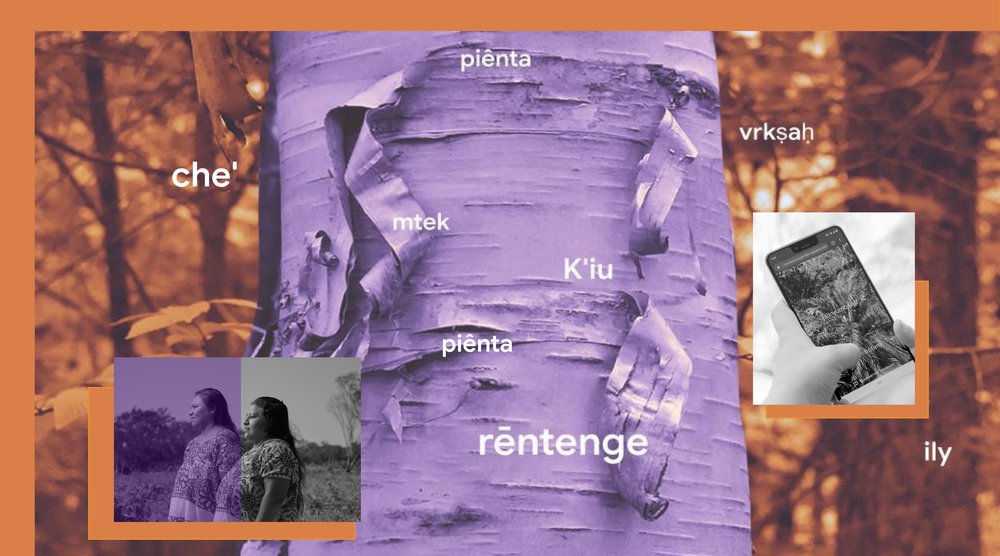 Collage including an image of a tree and the words for “tree” in endangered languages, and two small photographs: the Woolaroo app being used on a phone, and two Maya language speakers.