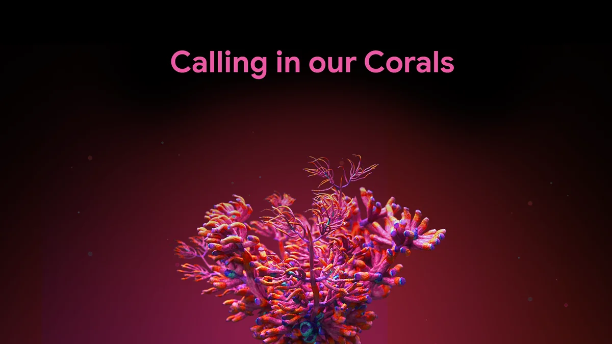 Image of pink glowing coral