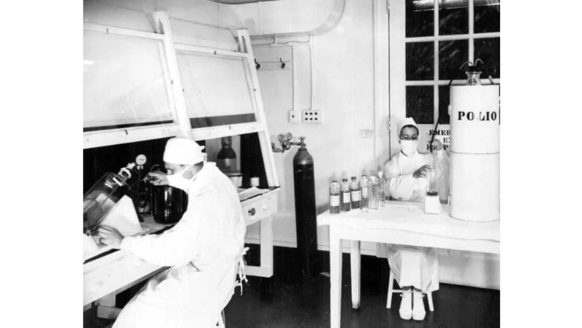 Scientists at Connaught Medical Research Laboratories harvesting the polio virus. Connaught Medical Research Laboratories1953/1954. Original source: Sanofi Pasteur Canada (Connaught Campus) Archives