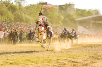 A Display of Horse Riding Skills