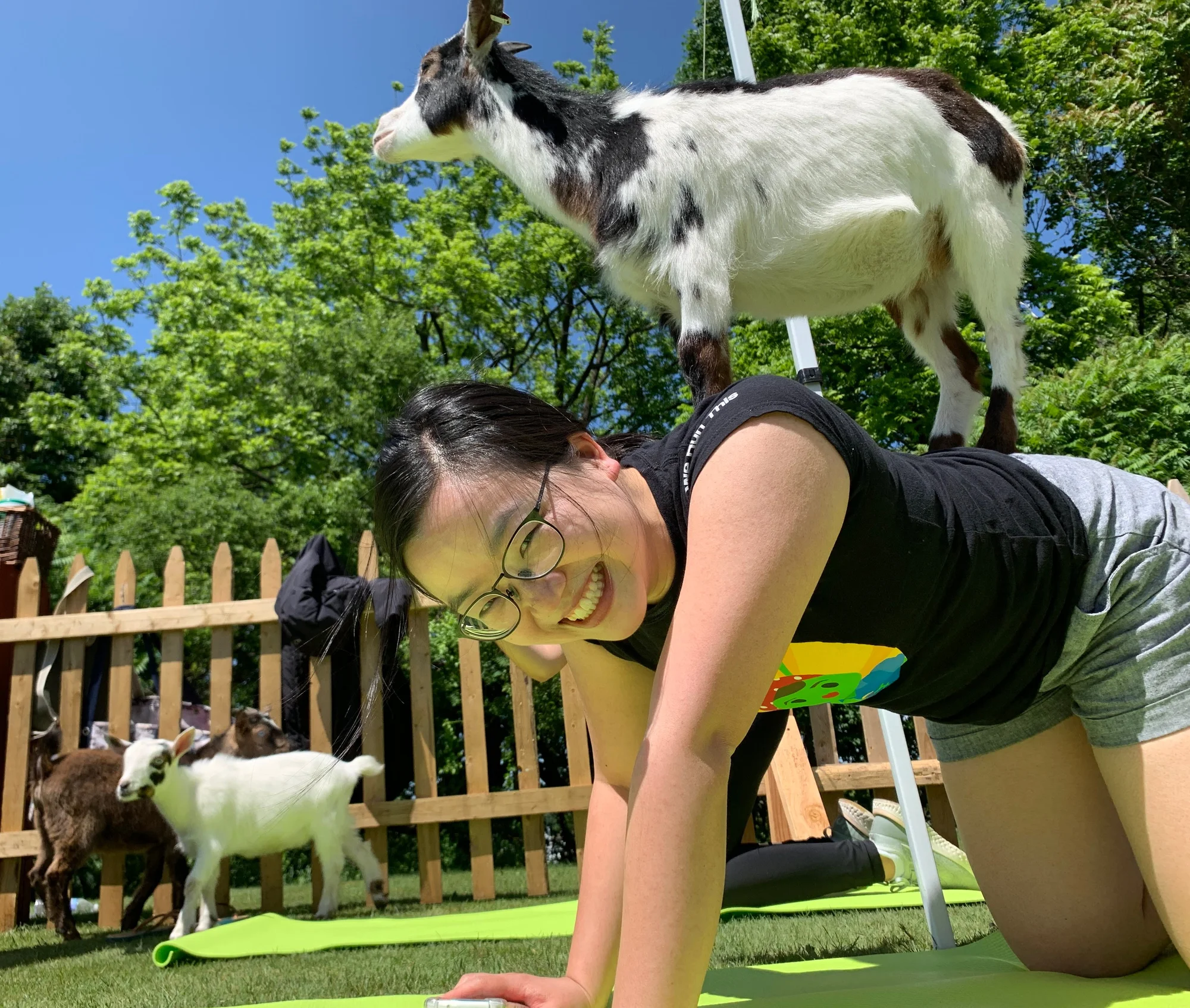Marisa Chow in Yoga-Pose mit einer kleinen Ziege auf dem Rücken