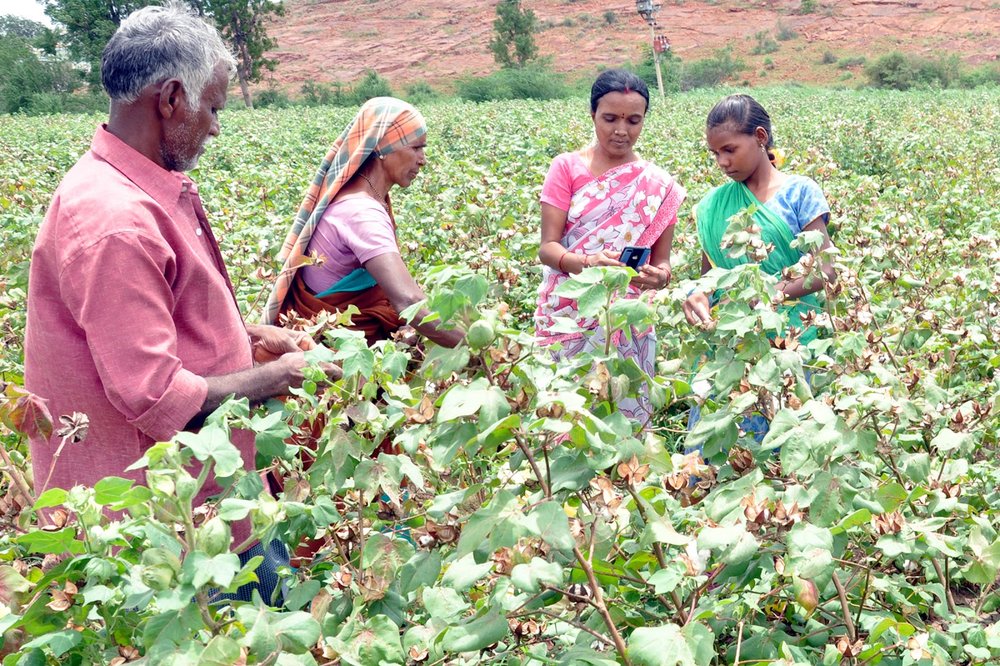 Woman named Rama Devi helping farmers