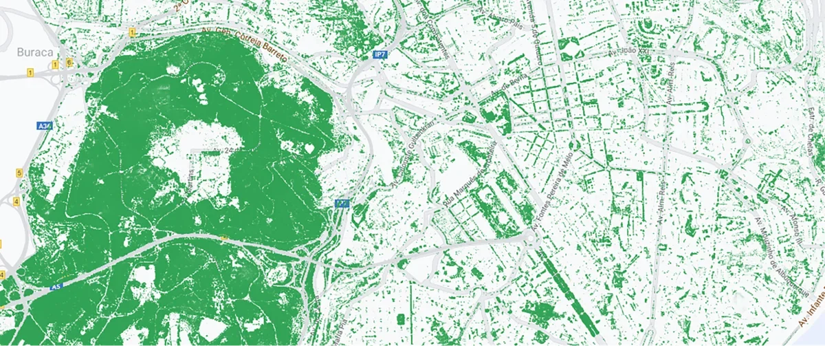 Zielono-biała mapa gęstości drzew w Parque Florestal de Monsanto i jego okolicach w Lizbonie, Portugalia.