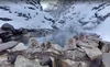 Image showing monkeys in a rock pool hot spring surrounded by snow.