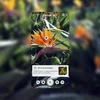 Google Lens showing a Bird of Paradise plant