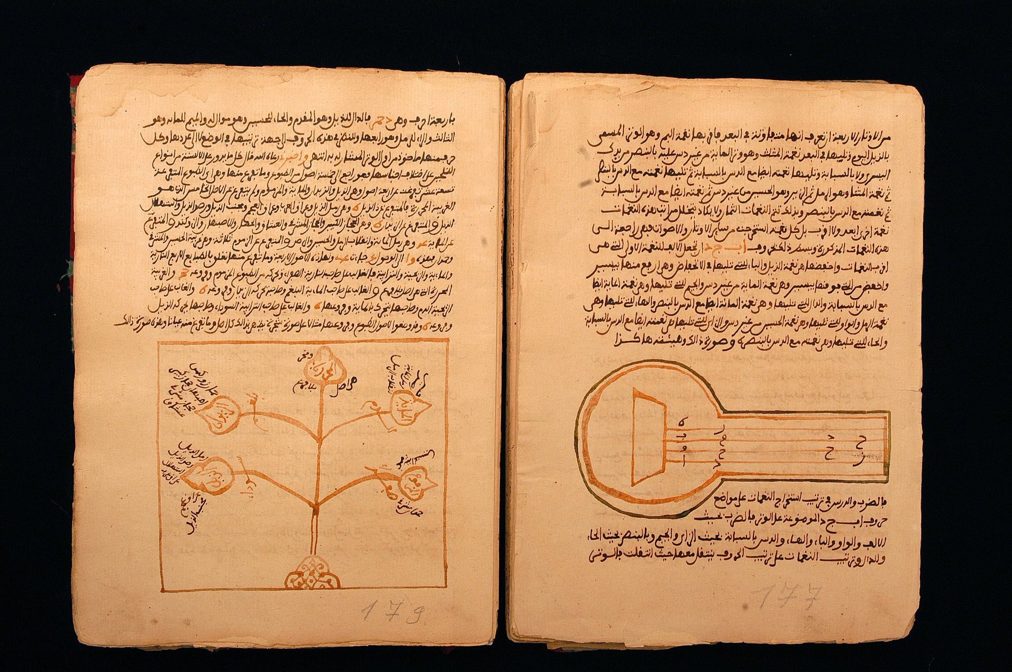 The trials and triumphs of the Timbuktu manuscripts