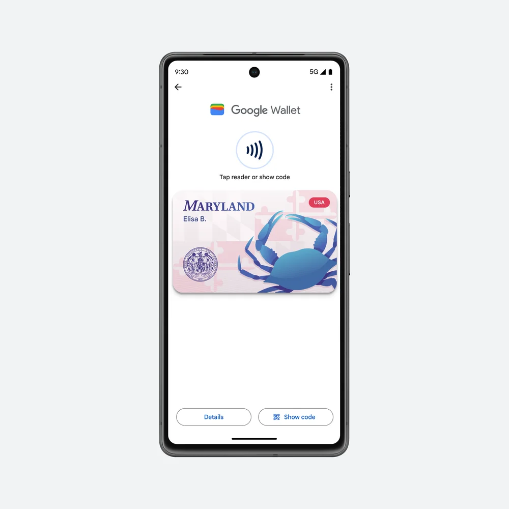 La pantalla de un teléfono muestra una versión digital de una tarjeta de identificación del estado de Maryland que se muestra en Google Wallet